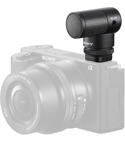 Amazon | Sony ecm322bmpプロフェッショナルヘッドセットマイク